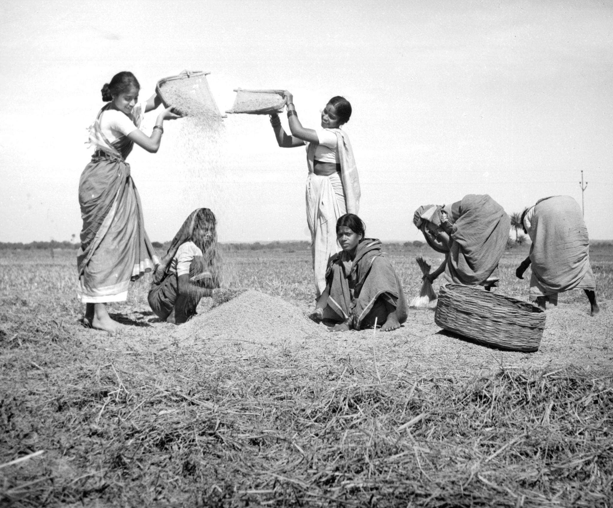 The Millet Mission